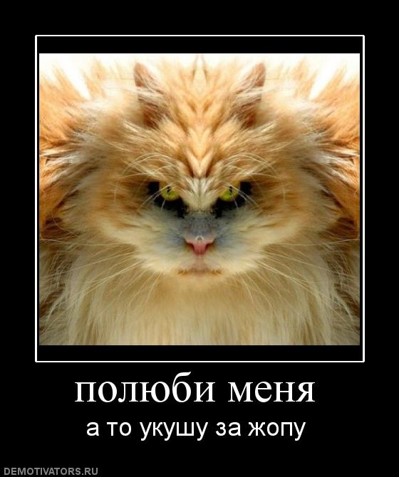 Демотиваторы  (69 фото)