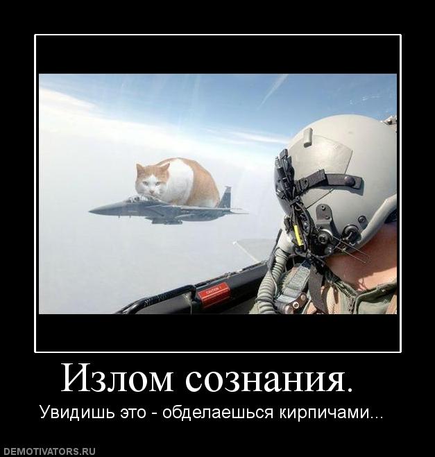 Демотиваторы  (69 фото)