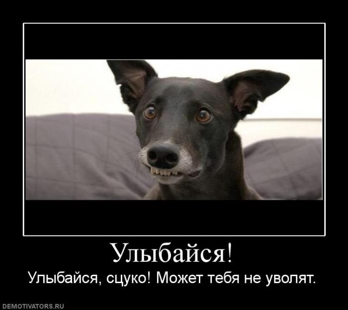 Демотиваторы  (69 фото)