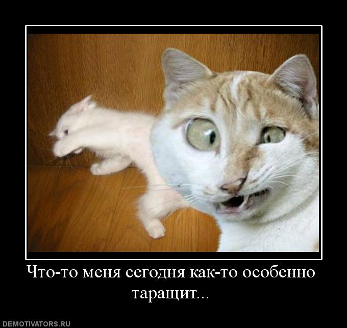 Демотиваторы  (69 фото)