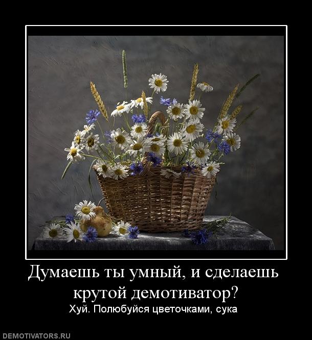 Демотиваторы  (69 фото)