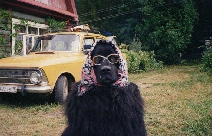 Прикольные комиксы  (45 фото)