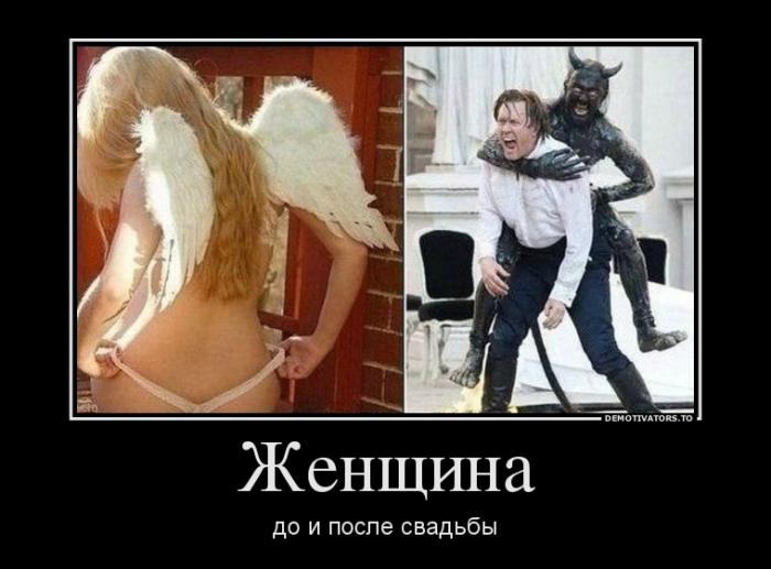 Демотиваторы  (69 фото)