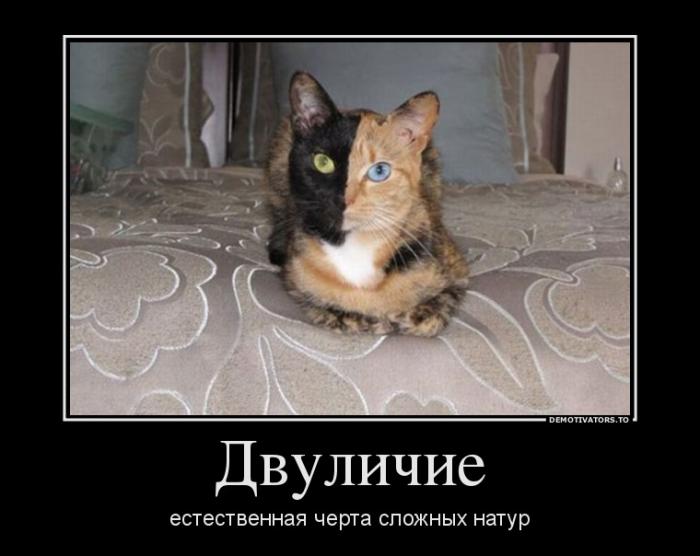 Демотиваторы  (69 фото)