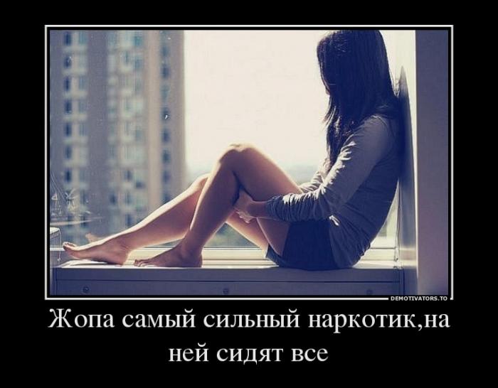 Демотиваторы  (69 фото)