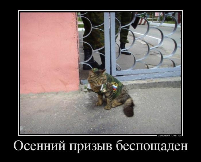 Демотиваторы  (69 фото)