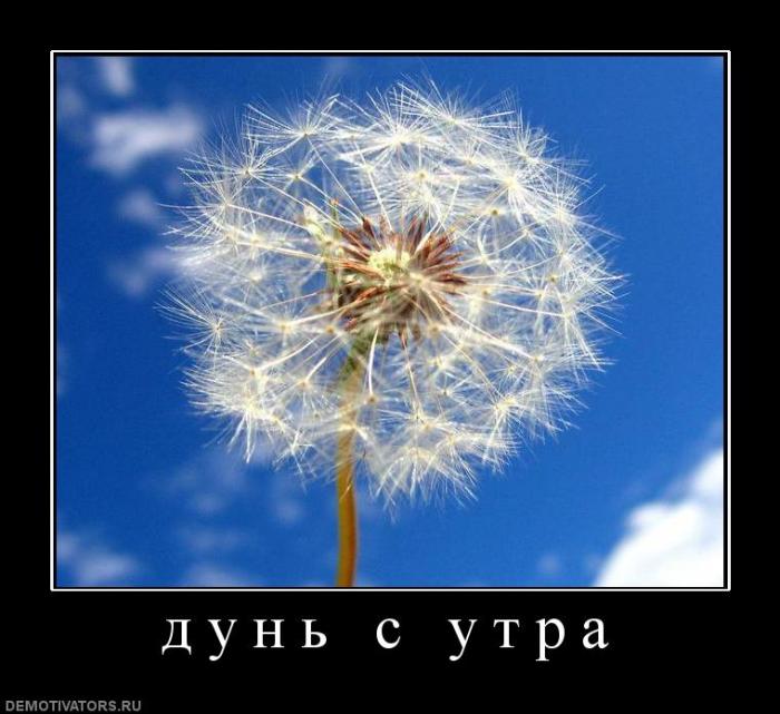 Демотиваторы  (69 фото)