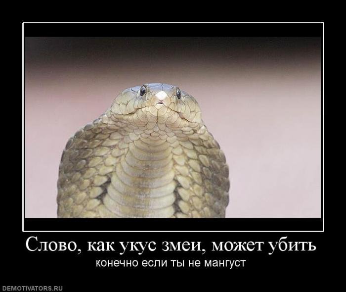 Демотиваторы  (69 фото)