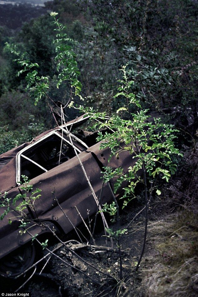 Раритетные автомобили на обрывах шоссе «Малхолланд Драйв» (12 фото) Раритетные автомобили на обрывах шоссе «Малхолланд Драйв» (12 фото)