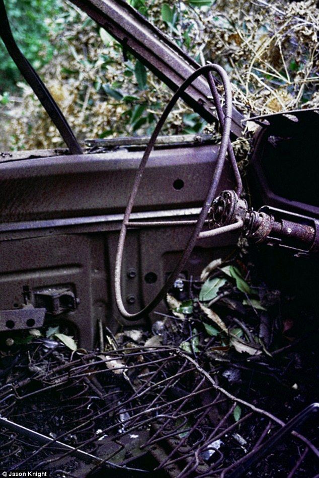 Раритетные автомобили на обрывах шоссе «Малхолланд Драйв» (12 фото) Раритетные автомобили на обрывах шоссе «Малхолланд Драйв» (12 фото)