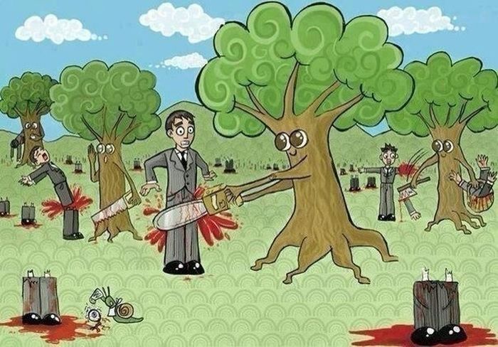 Прикольные картинки