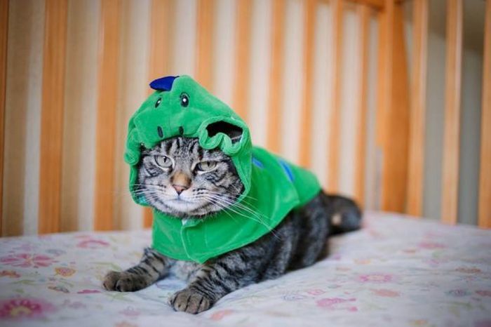 Прикольные картинки