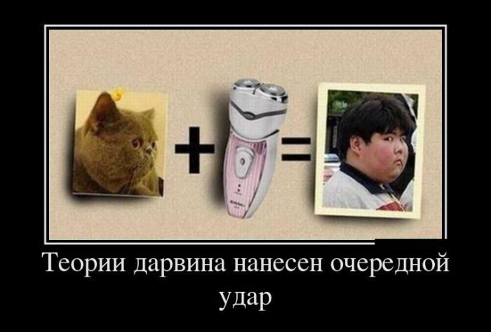 Демотиваторы