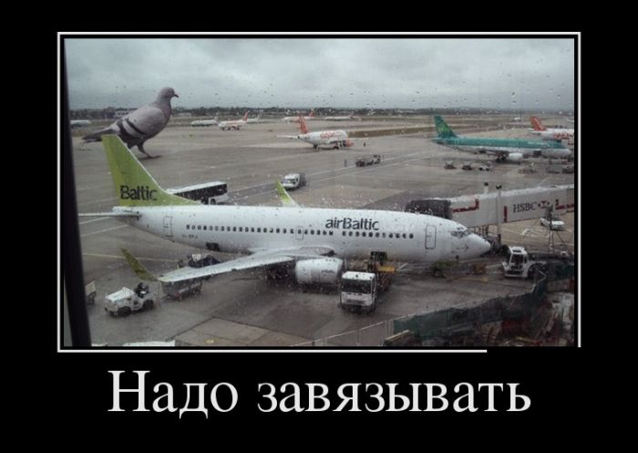 Демотиваторы