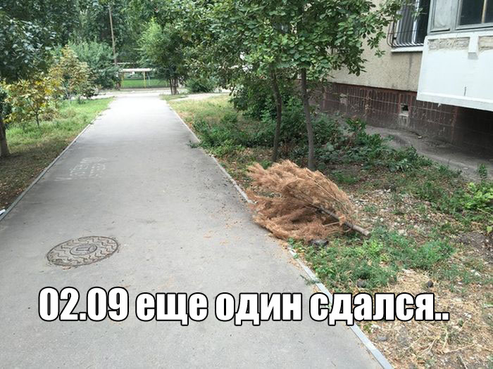 Прикольные картинки
