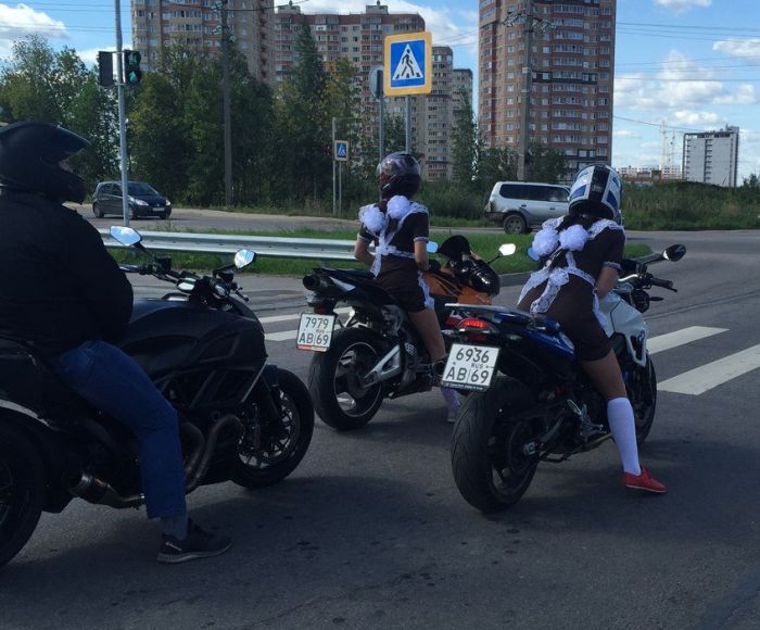 Прикольные картинки