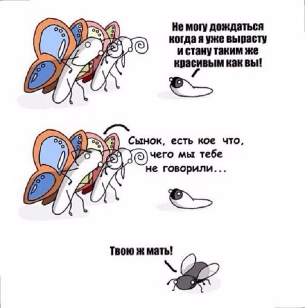 Смешные комиксы