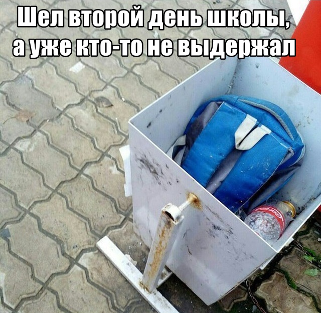Прикольные картинки