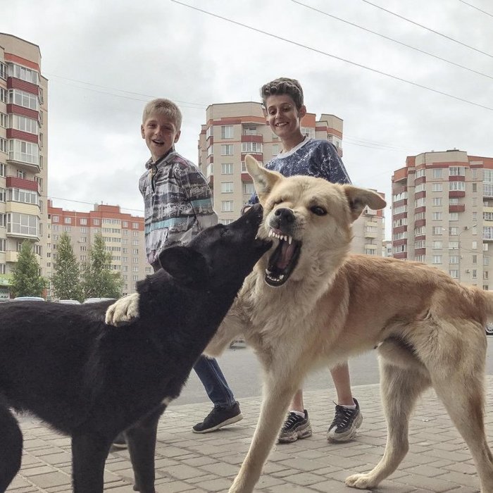 Алфавит провинциальной жизни
