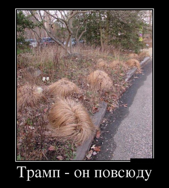 Демотиваторы