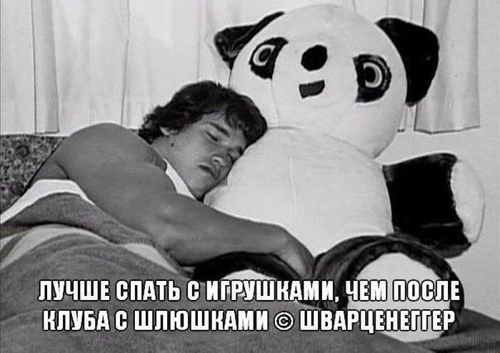 Порция картинок