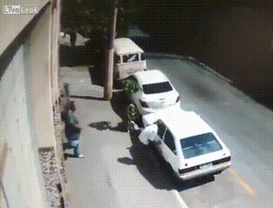 Воришки, получившие достойный отпор