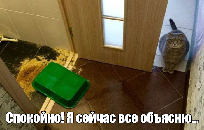 Прикольные картинки