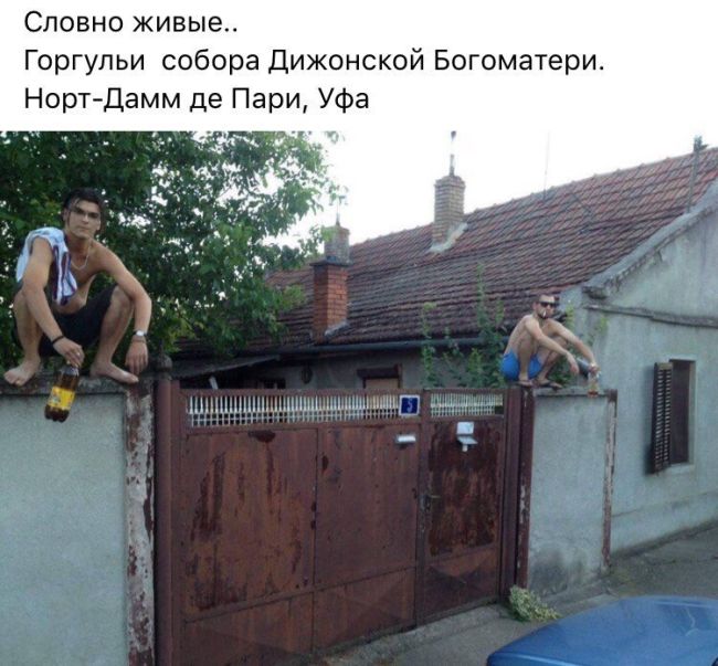 Прикольные картинки