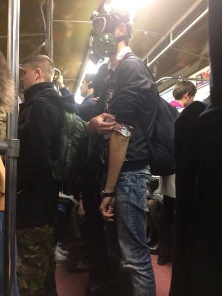 Прикольные картинки