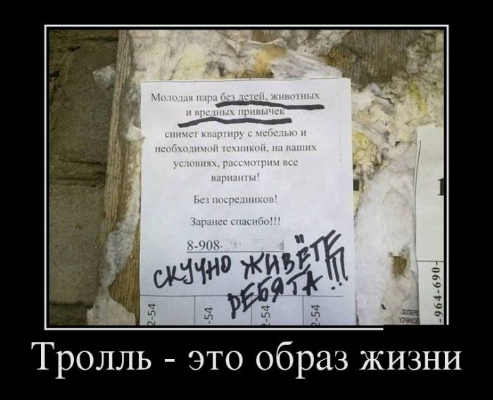 Демотиваторы