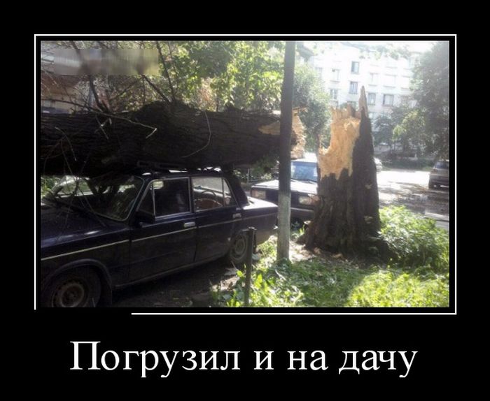 Демотиваторы