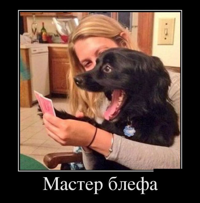 Демотиваторы