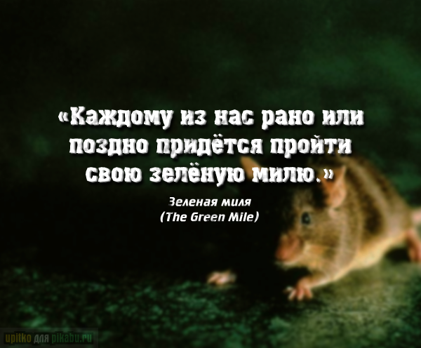 Цитаты из фильмов