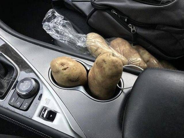 Прикольные картинки