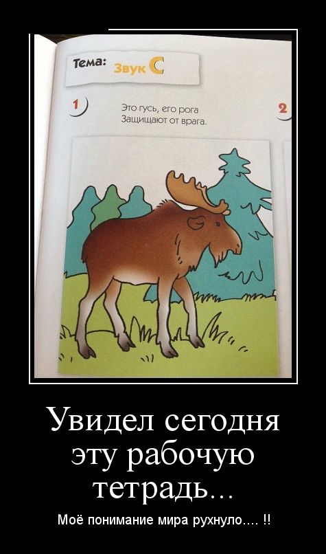 Демотиваторы