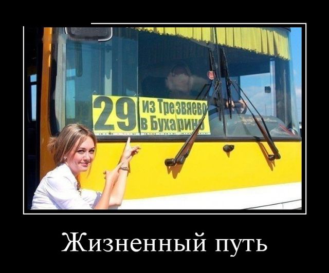 Демотиваторы