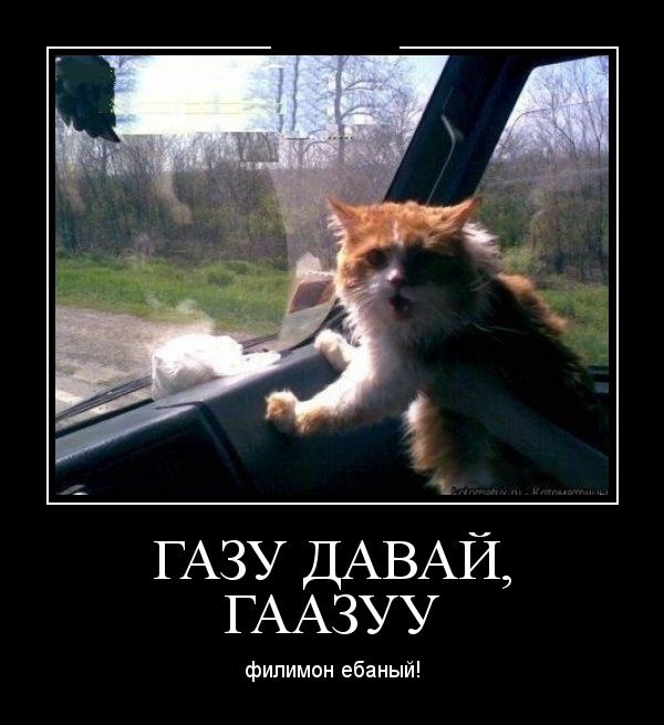Демотиваторы