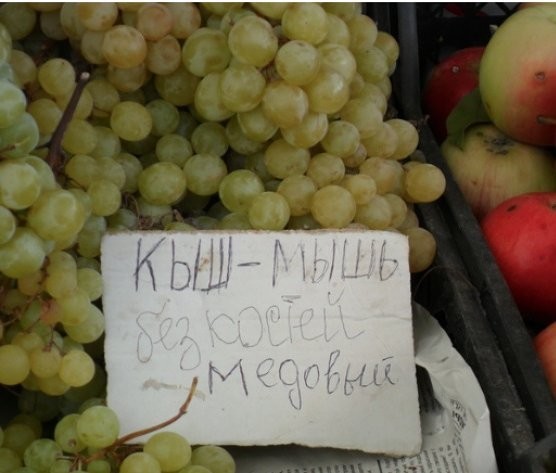 Мичуринские полигоны по созданию новых продуктов