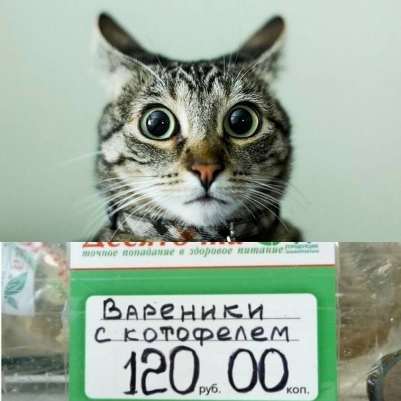 Мичуринские полигоны по созданию новых продуктов
