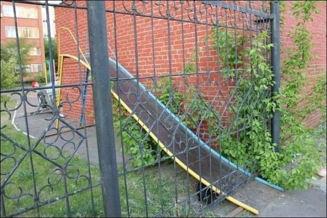 Забавные фотографии из Екатеринбурга