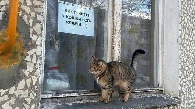 Забавные фотографии из Екатеринбурга