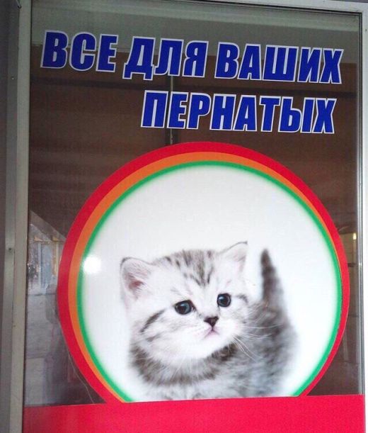 Обман вокруг нас