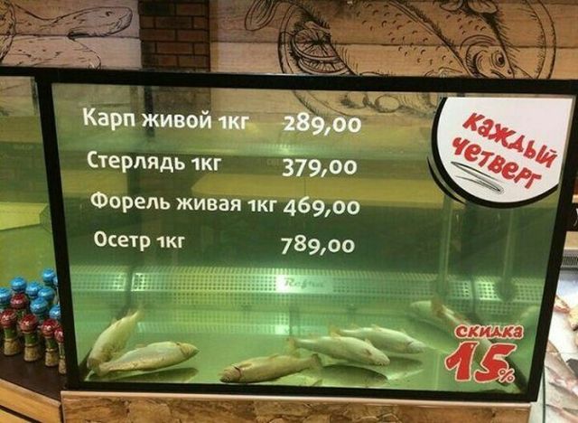 Обман вокруг нас