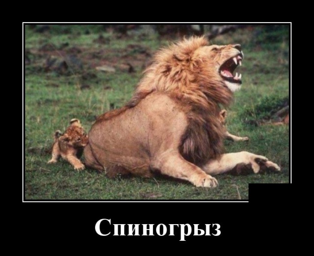 Демотиваторы