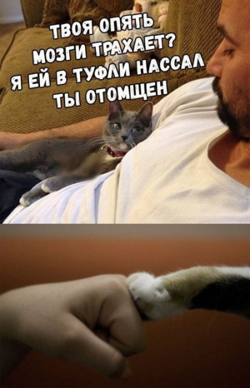 Нестандартный юмор с просторов сети