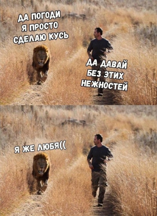 Нестандартный юмор с просторов сети