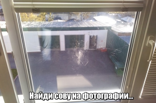 Прикольные картинки