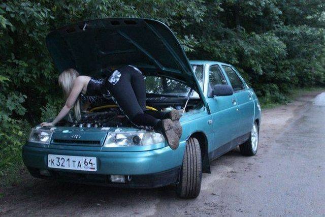 Прикольные картинки