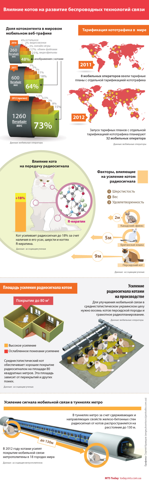Занимательная инфографика Занимательная инфографика