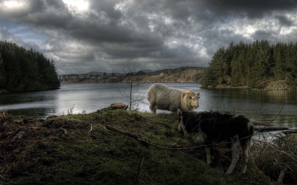 Фотоарт Гирса Аксельсена Фотоарт Гирса Аксельсена